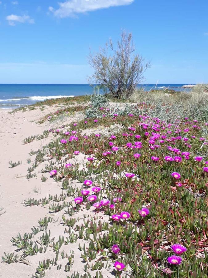 Denia'S Beach House - Colibri Apartment Bagian luar foto